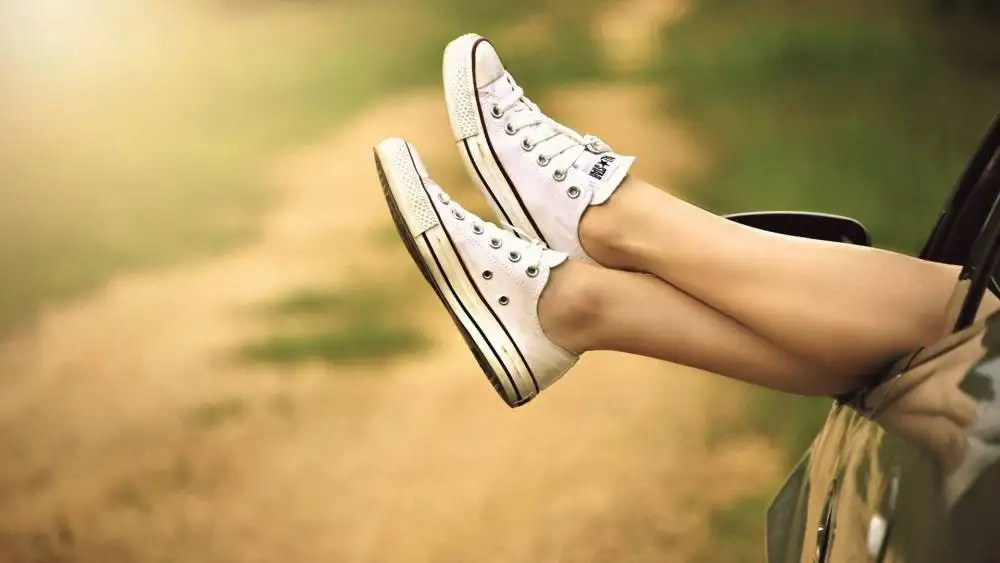 orumcek_damalardan_kurtulma.webp