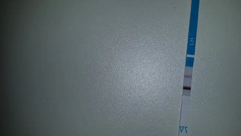 Ovulasyon testi.webp