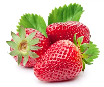 ozmuyane.webp