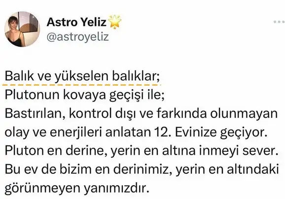 p balık (1).webp