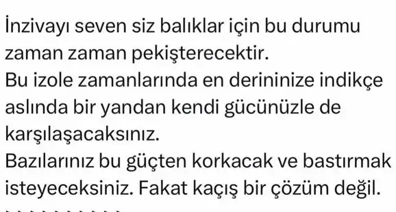 p balık (2).webp