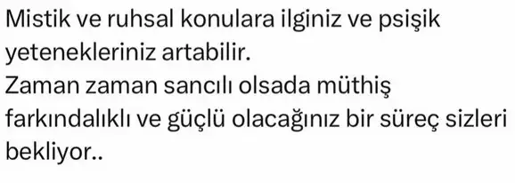 p balık (5).webp