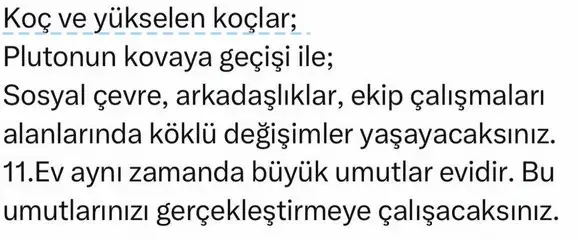 p koc (1).webp