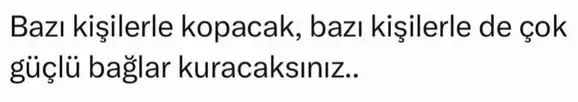 p koc (4).webp