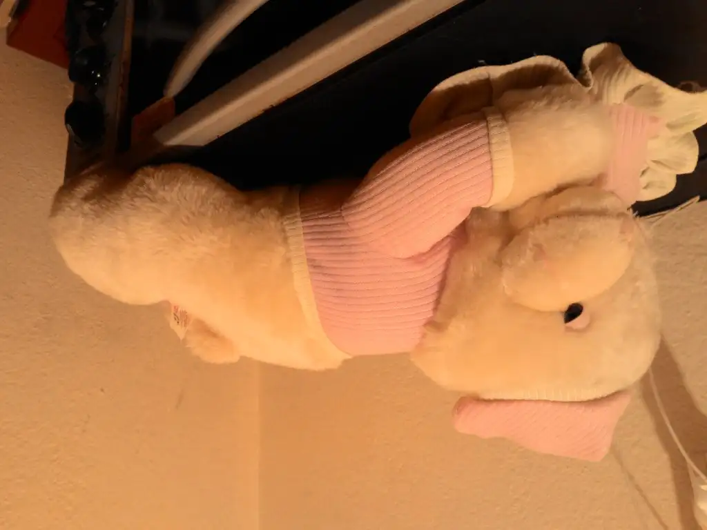 P_20150110_124425.webp