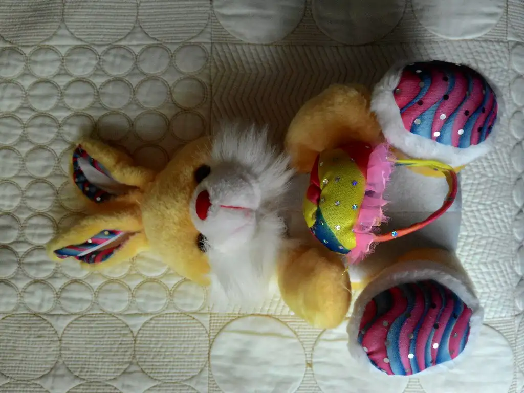 P_20150111_115248.webp