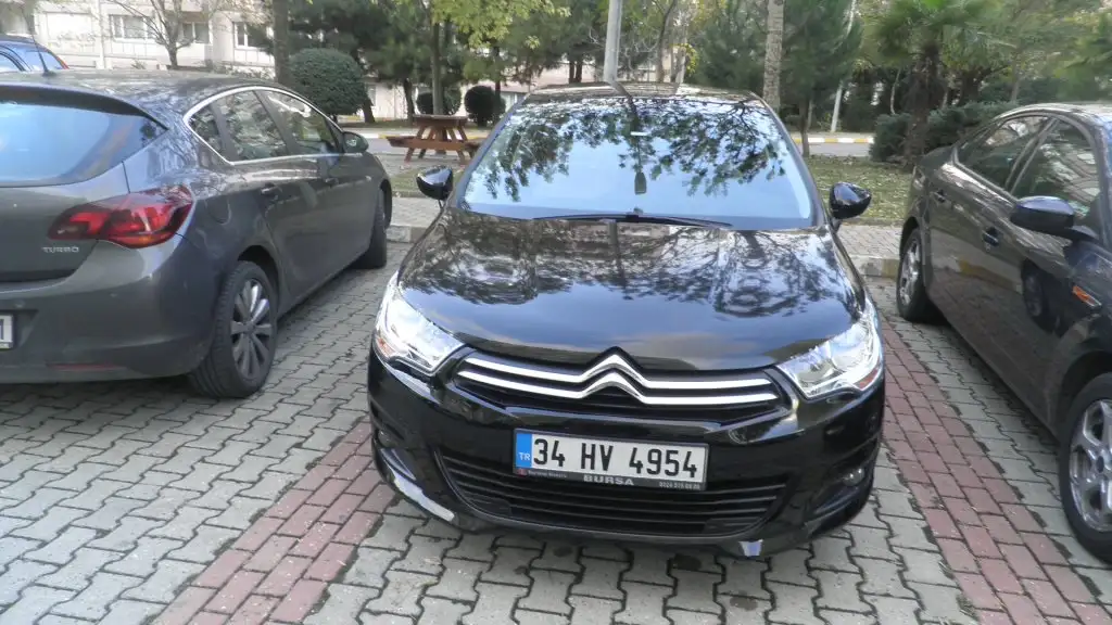 PA190233.webp