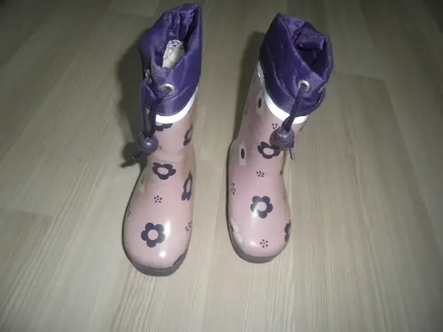 PA313527.webp