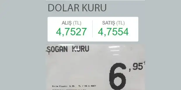 page_34dolar-kuru-475-sogan-kuru-69534_022024709.webp