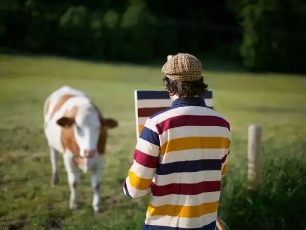 painting-pattern-shirt-scenic-locations-schmidt-schubert-12-58c275ed3cb2a__700-600x450.webp