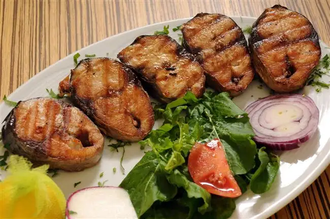 palamut_ız_tl_Kopyala1.webp