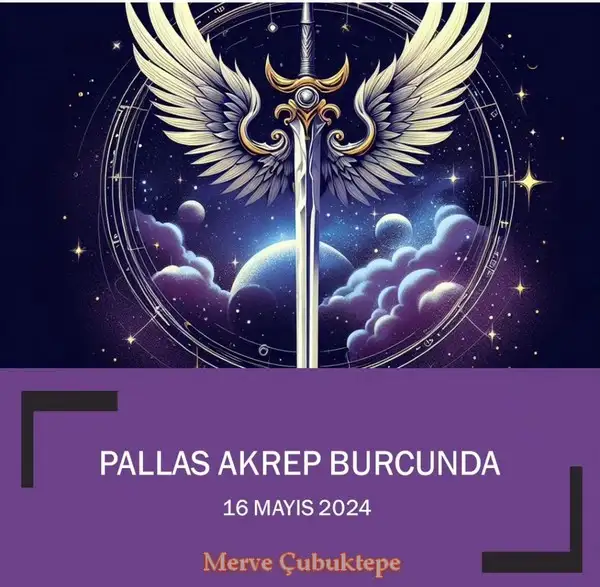 pall (1).webp