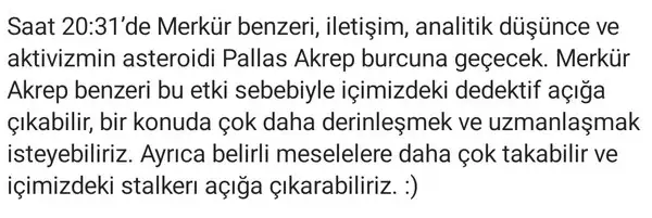 pall (2).webp