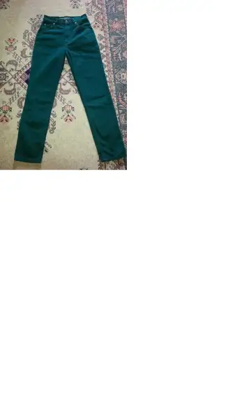 pant.webp