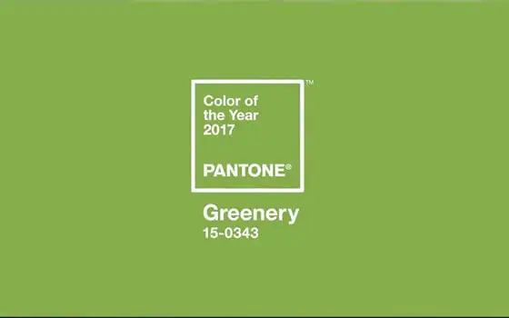 PantoneMain.webp