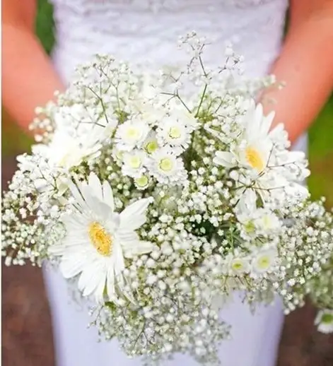 papatya-ve-gerbera-gelin-çiçeği-e1444998332169.webp