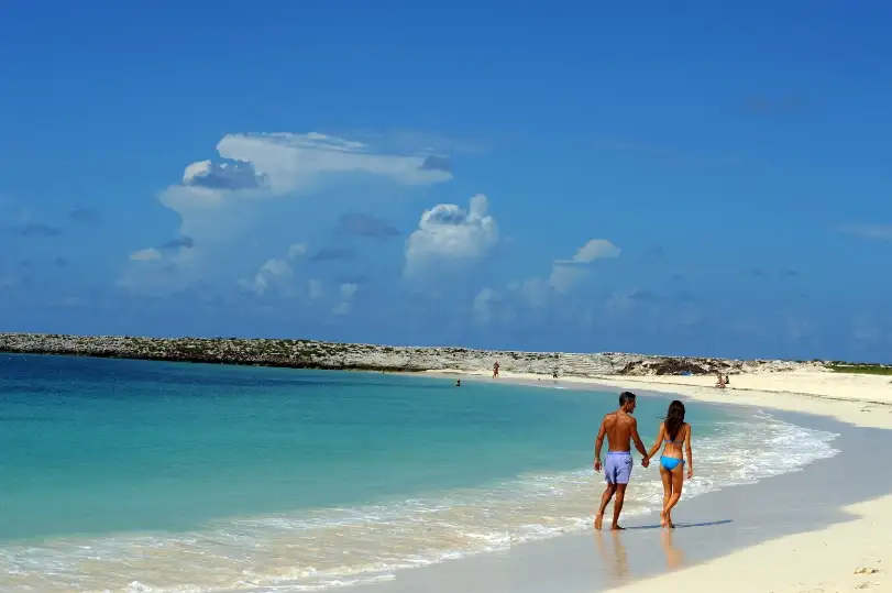 paradiseisland.webp