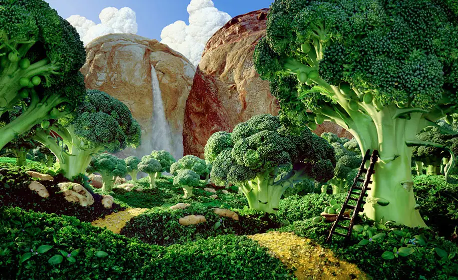 Paysages-Magnifiques-Entierement-en-Nourriture-10.webp