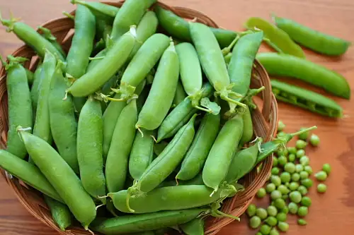 Peas-Spring.webp