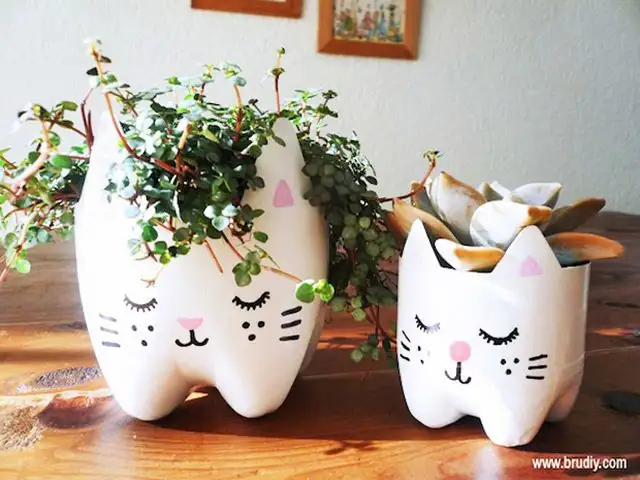 pet-siseyle-yapilabilecek-yaratici-seyler-5275298.webp