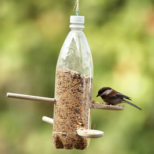 pet-siseyle-yapilabilecek-yaratici-seyler-5275299.webp