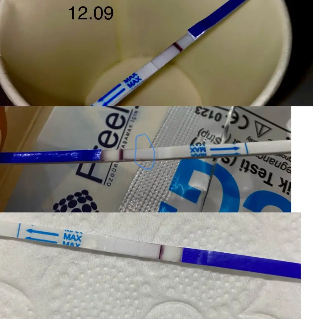 photo-output.webp