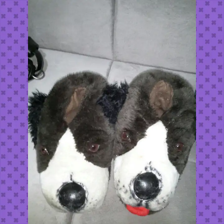 PhotoGrid_1423272251343.webp