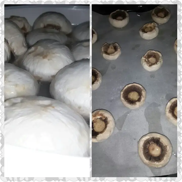 PhotoGrid_1446667002566.webp