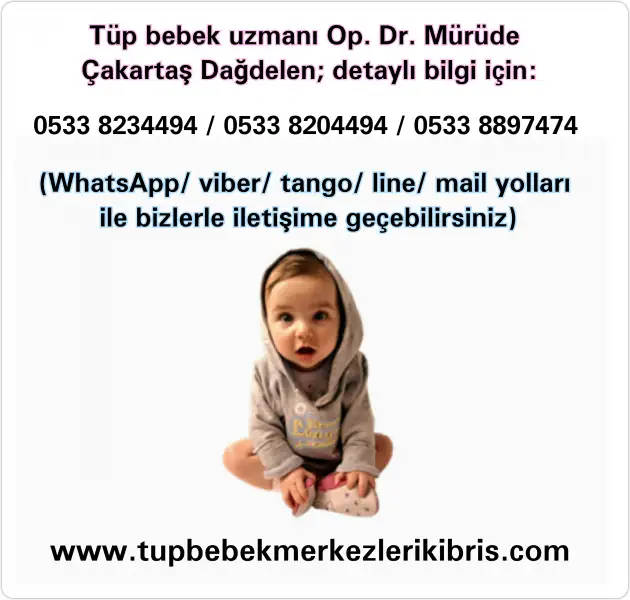 PhotoGrid_1485112720366.webp