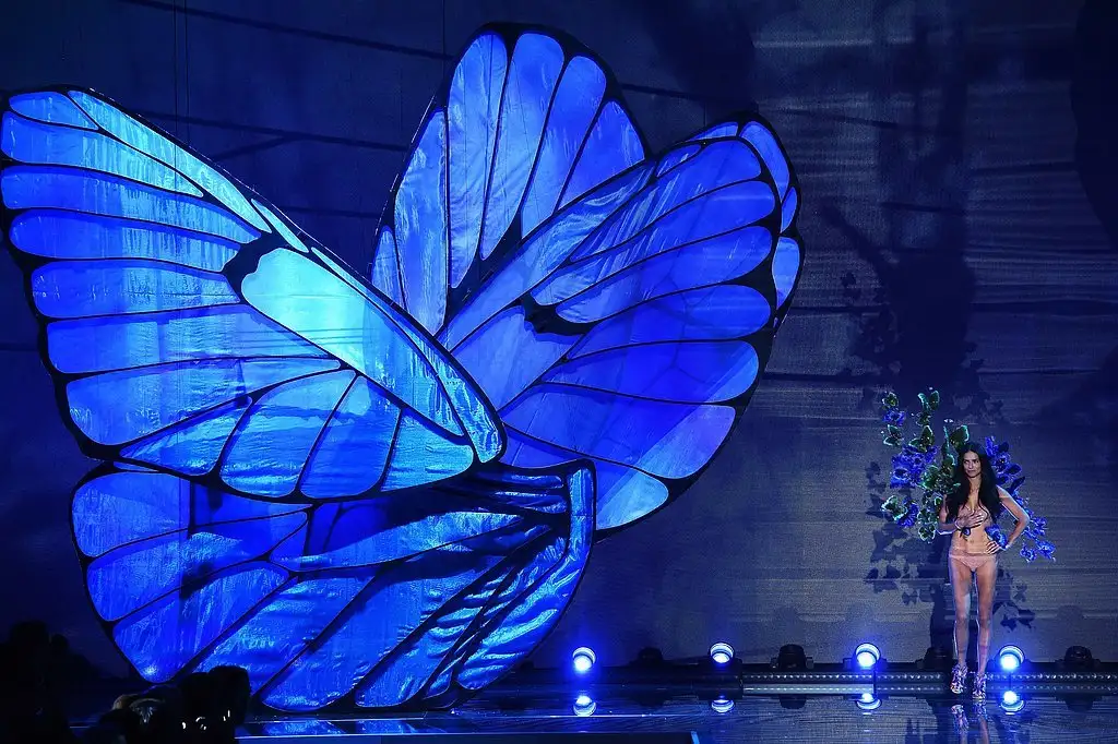 Pictured-Adriana-Lima (1).webp