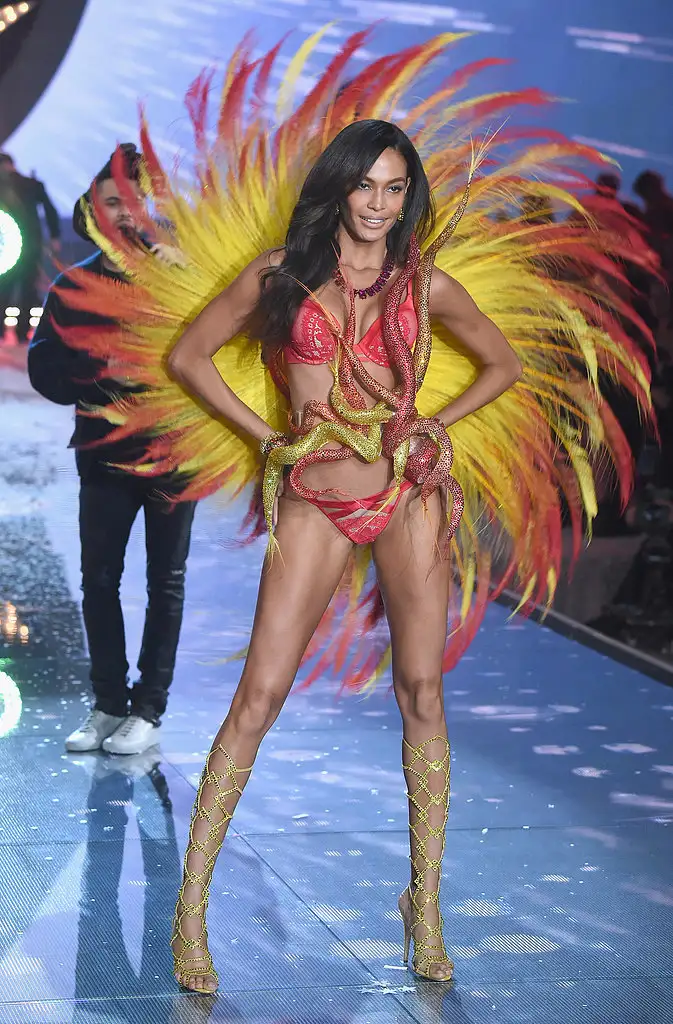 Pictured-Joan-Smalls.webp