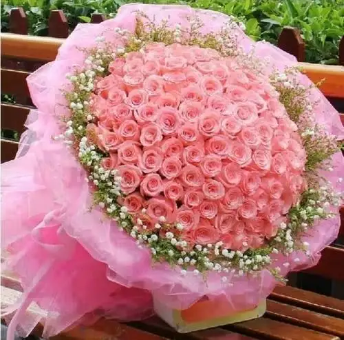 Pink Roses.webp