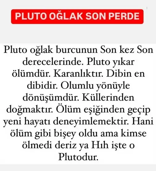 pl 3 (1).webp
