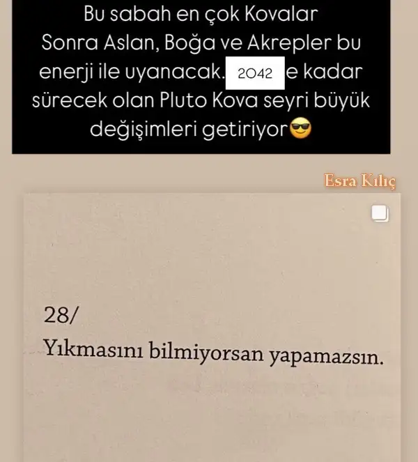 pl.webp