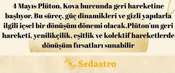 pl.webp