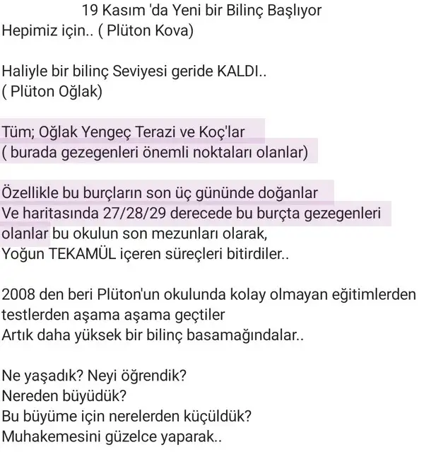 pl3 (2).webp