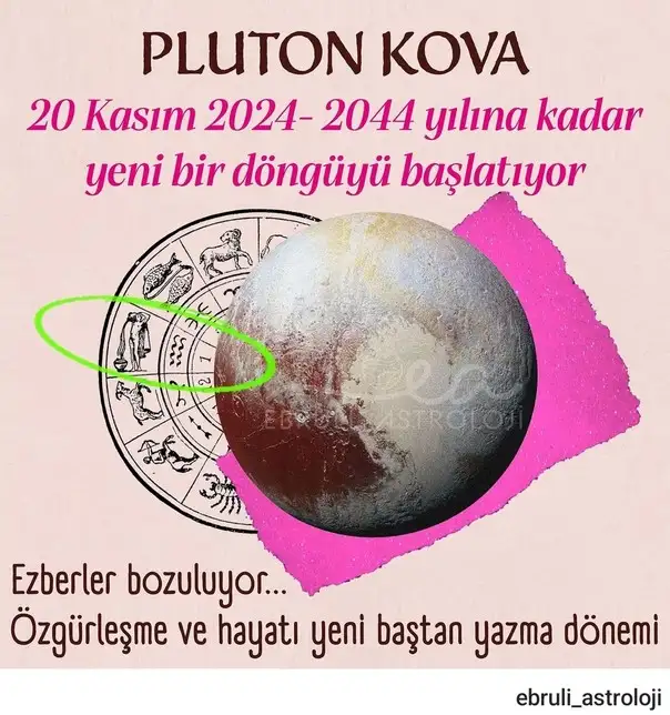 pl4 (1).webp