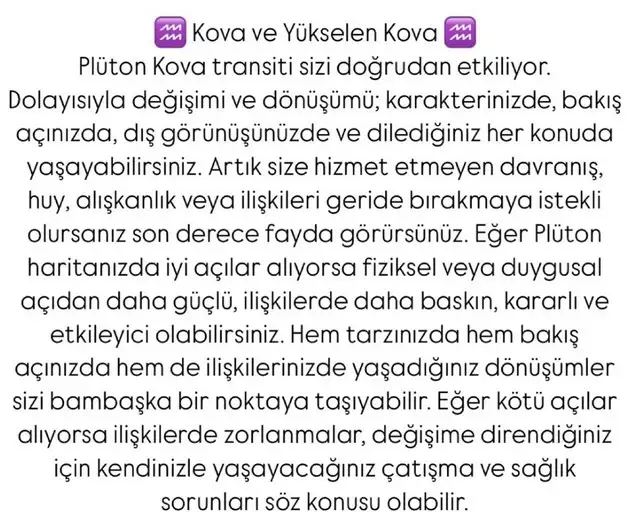 pl4 (12).webp