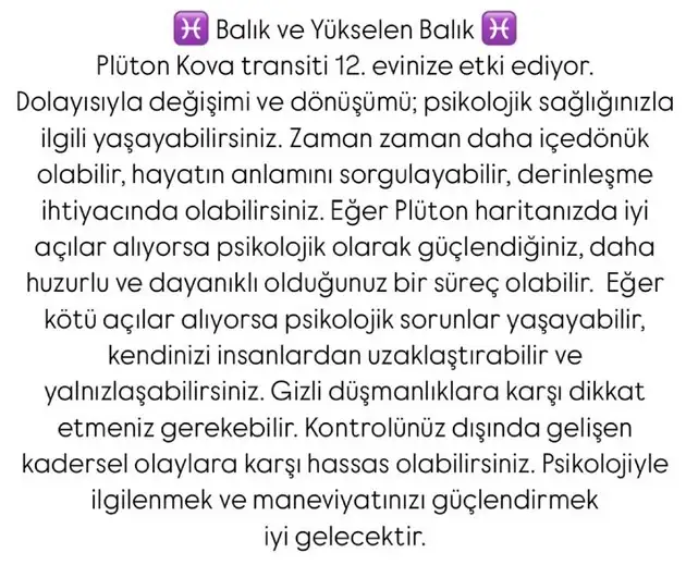 pl4 (13).webp