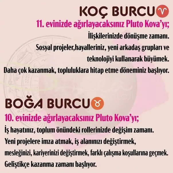 pl4 (2).webp