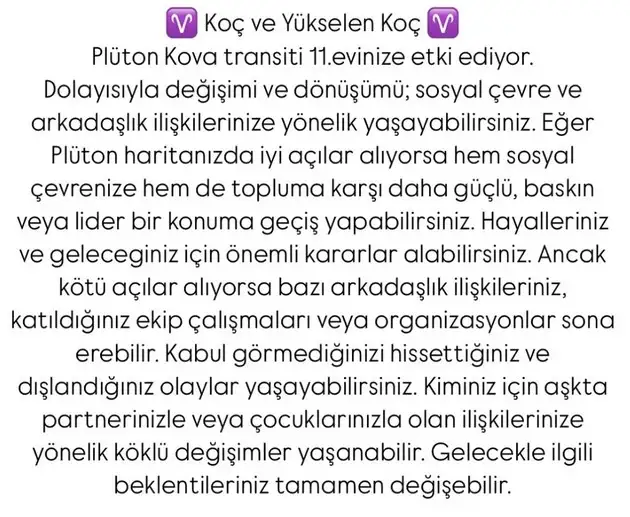 pl4 (2).webp
