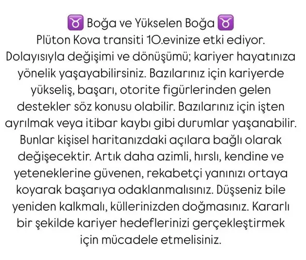 pl4 (3).webp