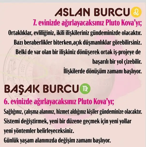 pl4 (4).webp
