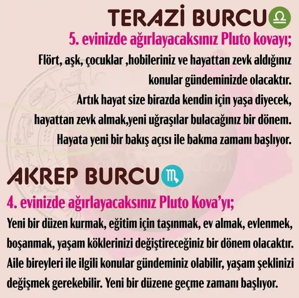 pl4 (5).webp