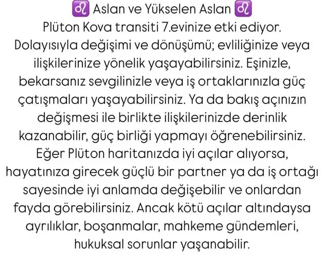 pl4 (6).webp