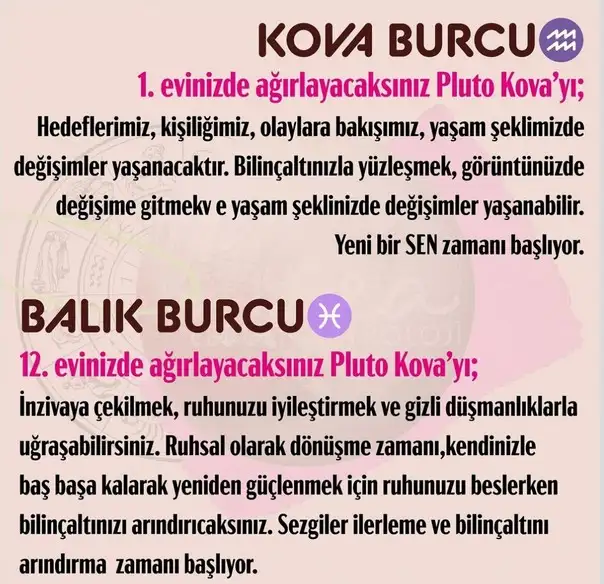 pl4 (7).webp