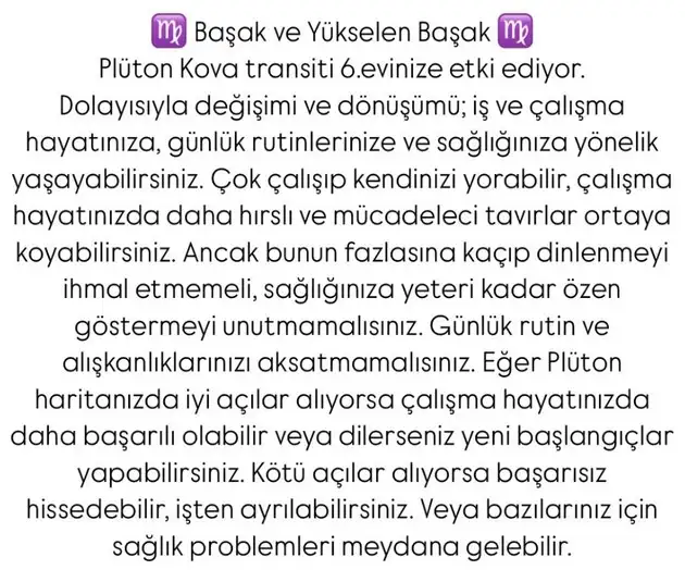 pl4 (7).webp