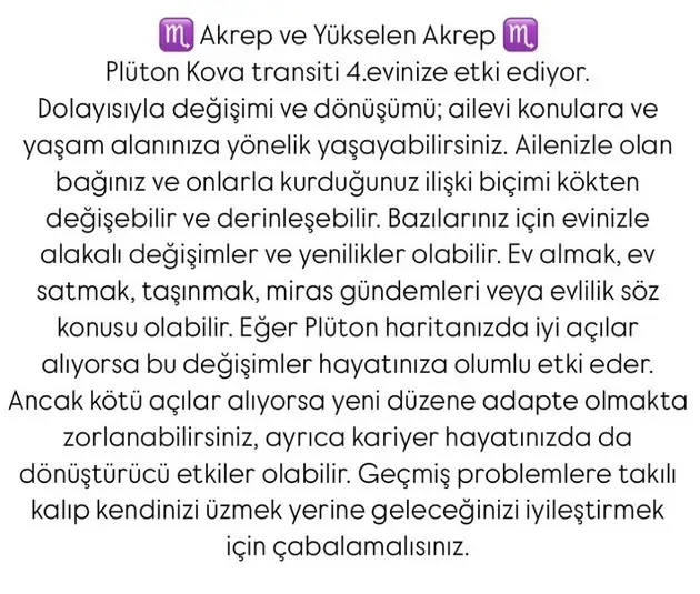 pl4 (9).webp