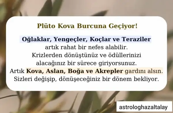 pl4.webp