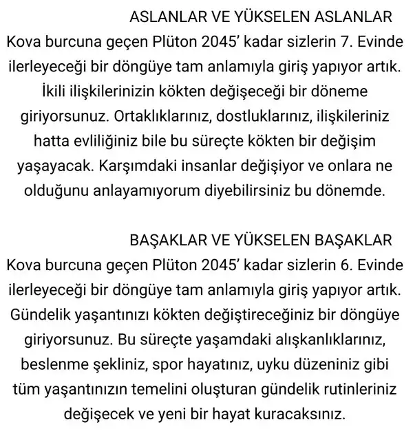 pl5 (3).webp